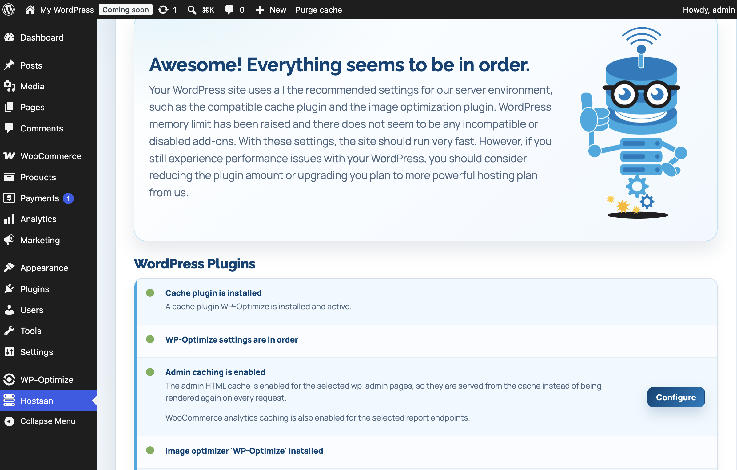 Hostaan WordPress plugin